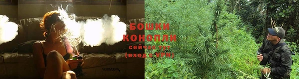 бошки Майский