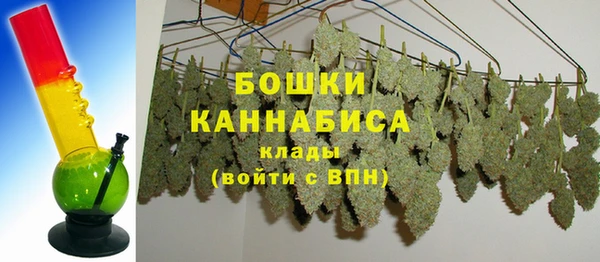 прущие крисы Мегион