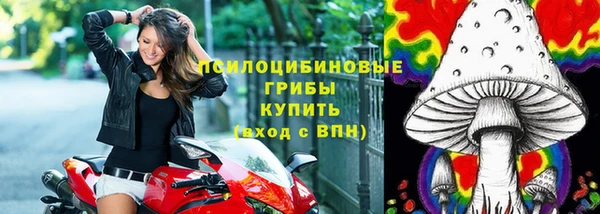круглые Магас