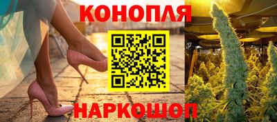 не бодяженный Гай