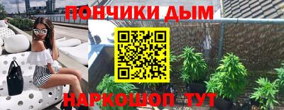 не бодяженный Гай