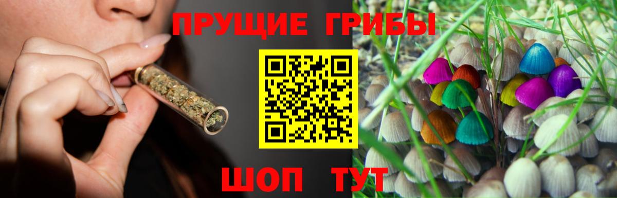 Псилоцибиновые грибы Psilocybe Челябинск